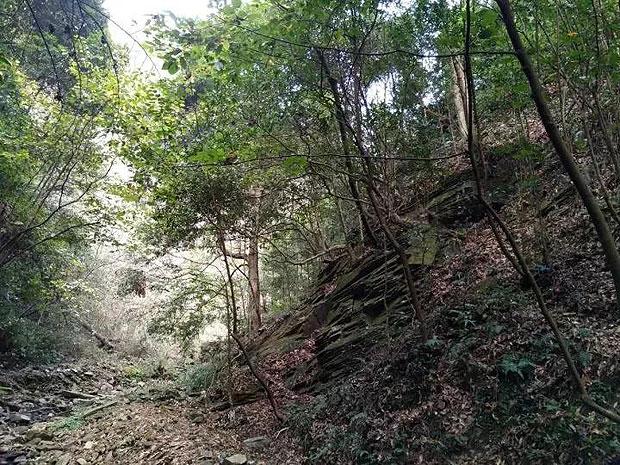 天堂契约