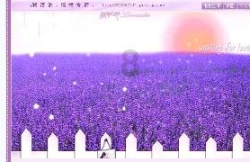 创作猫