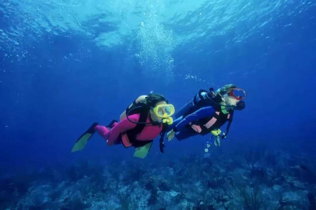 摆动小圆球