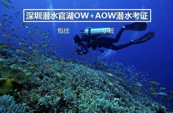2位幸运的陕西男人,他们都娶了“跳水皇后”,太幸福了