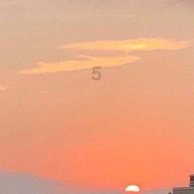 《黑土无言》大结局烂尾，杨四报错了仇，隐藏的大老虎逍遥法外