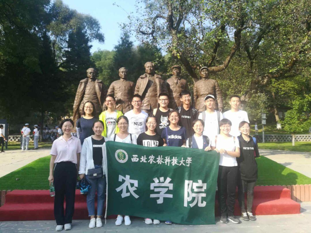 西方大卡车找字母
