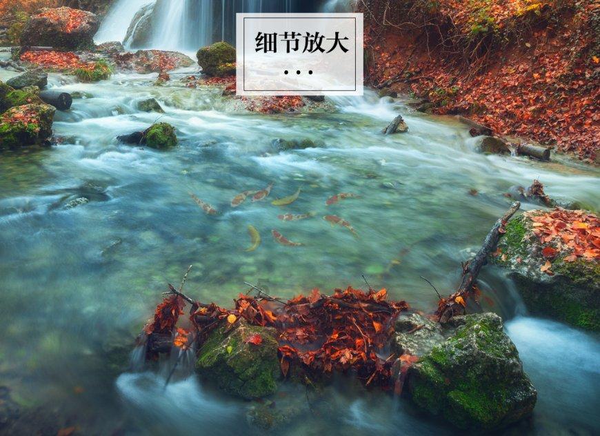 中顺洁柔将于2月7日召开2024年度第一次临时股东大会