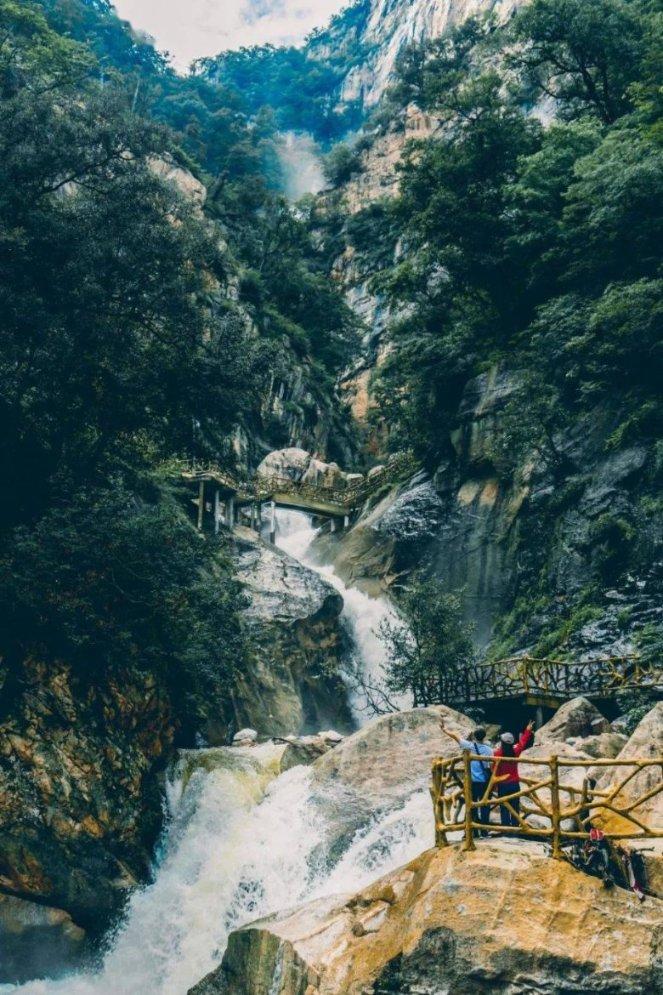 QQ企鹅