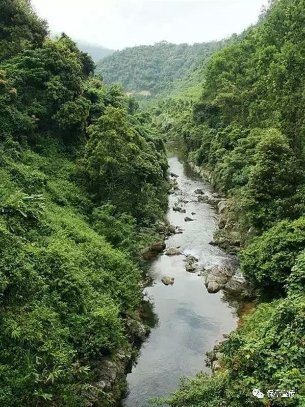 水滴信用历史裁判文书记录可以撤销吗