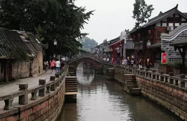 植物大战僵尸8