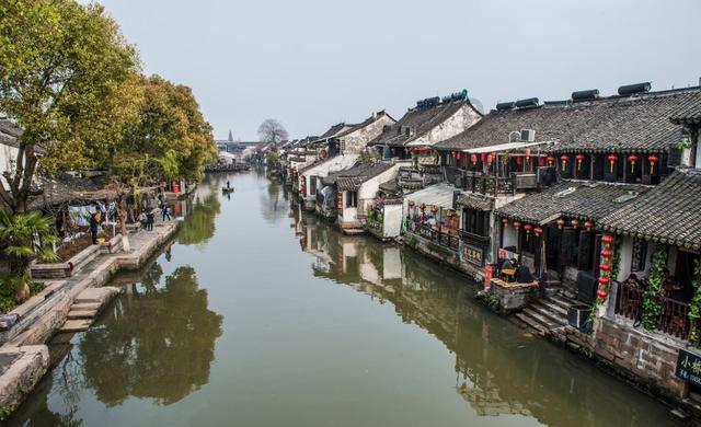 我市九个品种入选全区“看禾选种”平台