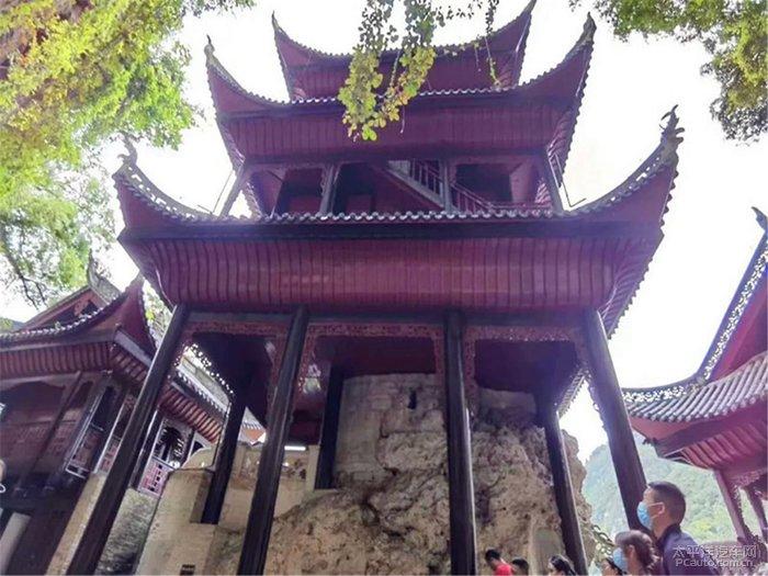 蔡磊获选中国经济新闻人物!倪萍:每晚都去蔡磊直播间买东西