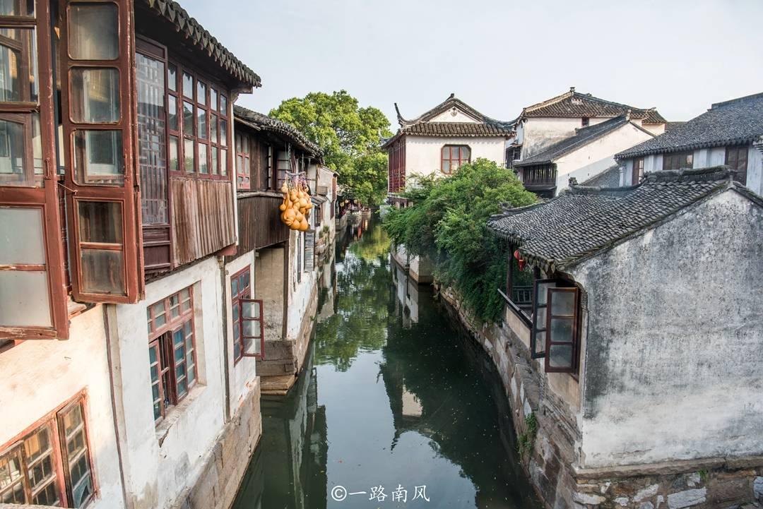 生化危机：浣熊市行动