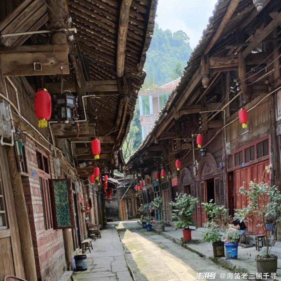 小鸡要回家