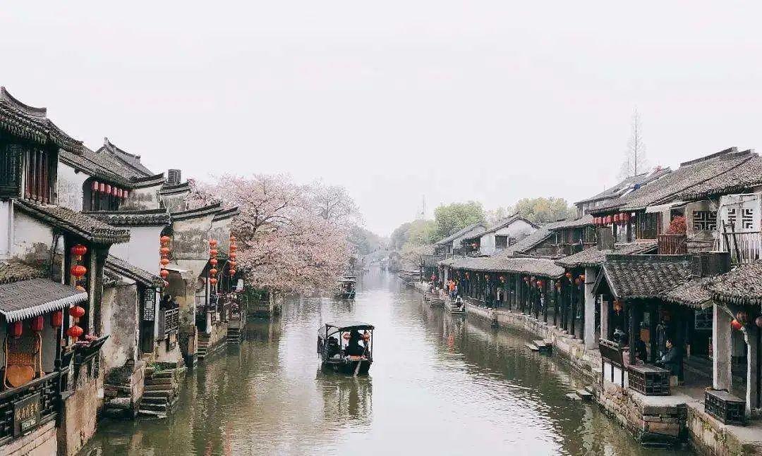 苏菲亚和安伯的休闲装