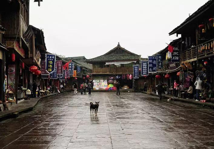 《要久久爱》上星播出，杨紫、范丞丞兄弟变情人