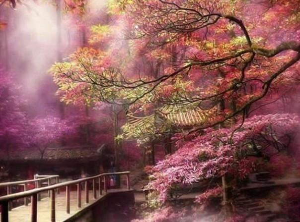 曼晚:曼联现在花钱要担心违反FFP规定,完全是咎由自取