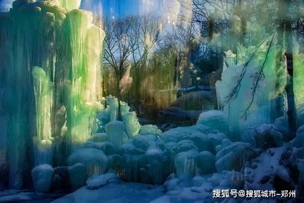 逃离诡异的森林